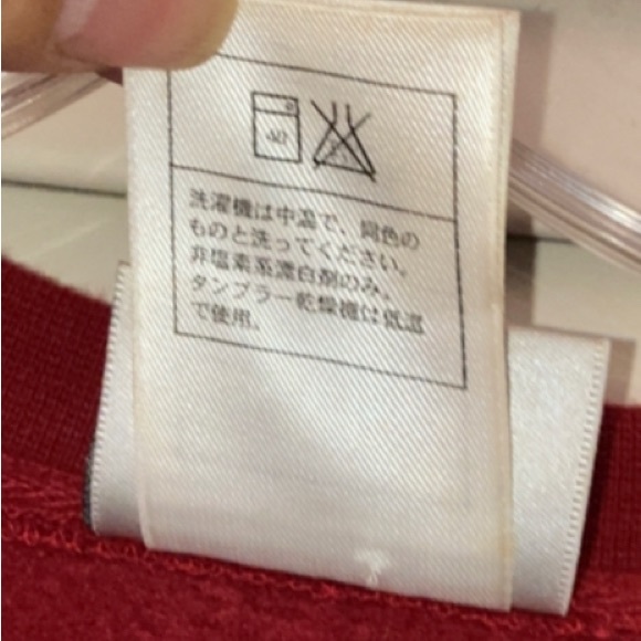 DISNEY CRUISE LINE TRANSATLANTIC UNISEX EMBROIDERED SWEATSHIRT - Picture 9 of 12